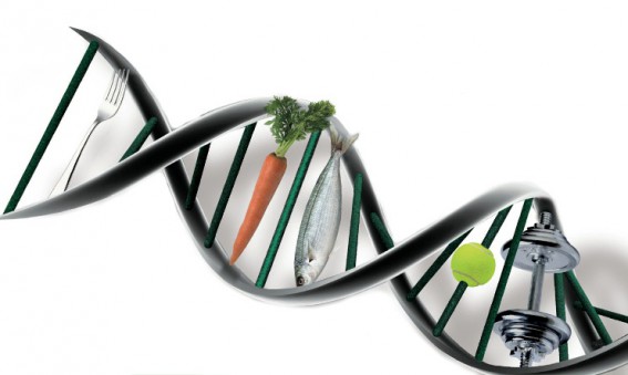 La nutrigenética estudia la relación entre los genes y la respuesta individual a la dieta