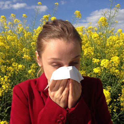 Test de diagnóstico múltiples alergias