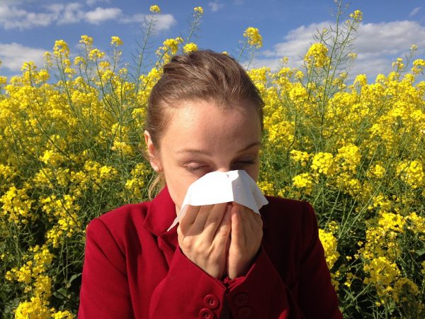 Test de diagnóstico múltiples alergias