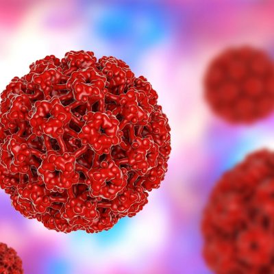 PANEL HPV CEyDES. ENFERMEDADES DE TRANSMISIÓN